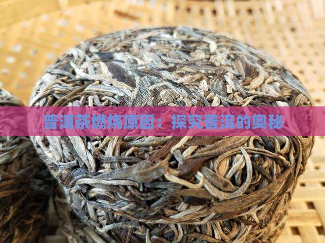 普洱茶燃烧原因：探究普洱的奥秘