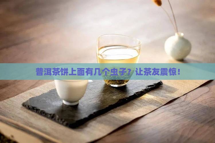 普洱茶饼上面有几个虫子？让茶友震惊！
