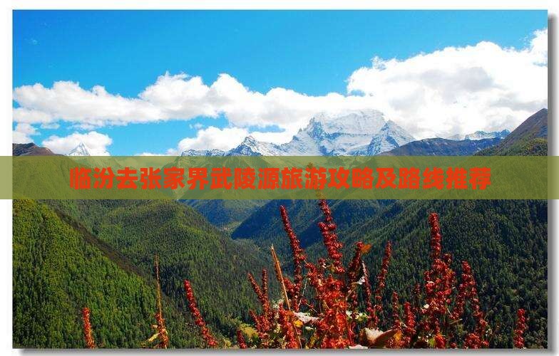 临汾去张家界武陵源旅游攻略及路线推荐