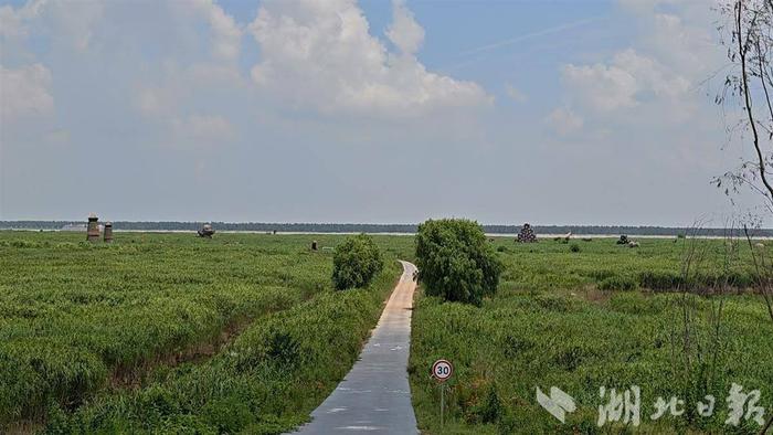 “最美江豚湾”名不虚传。(湖北日报全媒记者汪子轶 摄)