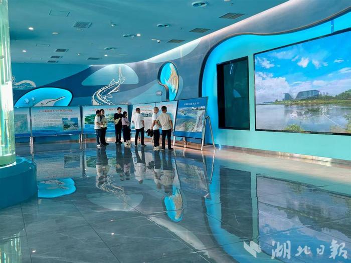 中国·江豚湾(湖北日报全媒记者 汪子轶 摄)