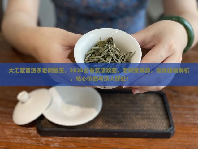 大汇堂普洱茶老树圆茶，2025必看实测攻略，老树茶真像，省钱秘籍解析，核心价值与诱人好处！