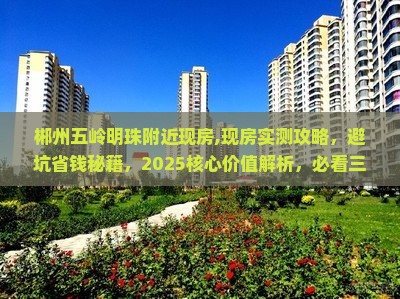 郴州五岭明珠附近现房
