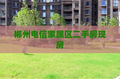 郴州电信家属区二手房现房